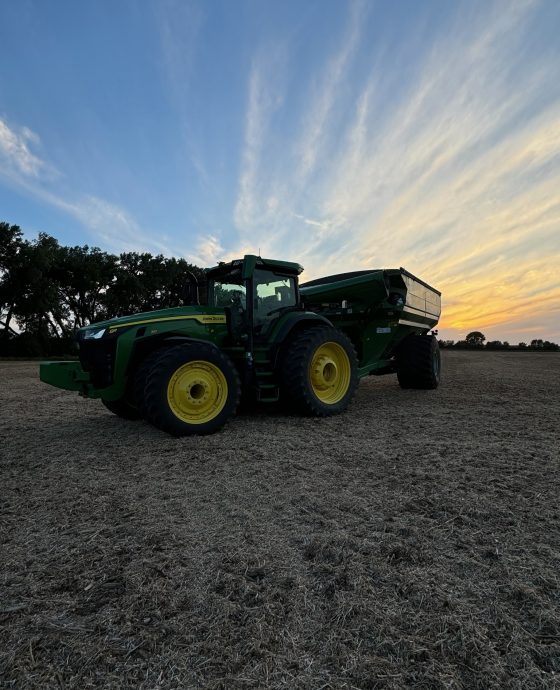 Grain Production